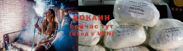 стаф Балахна