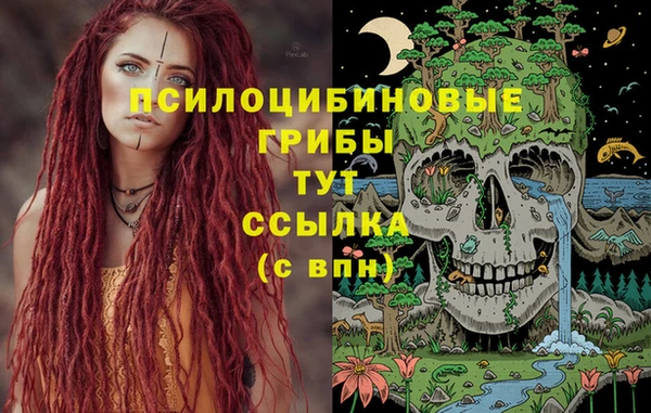 mix Белокуриха