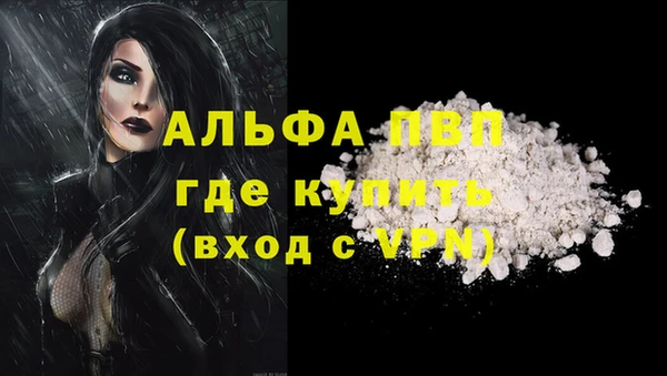 амф Осташков