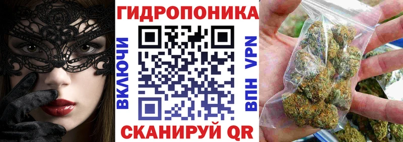 Шишки марихуана SATIVA & INDICA  наркота  Салаир 